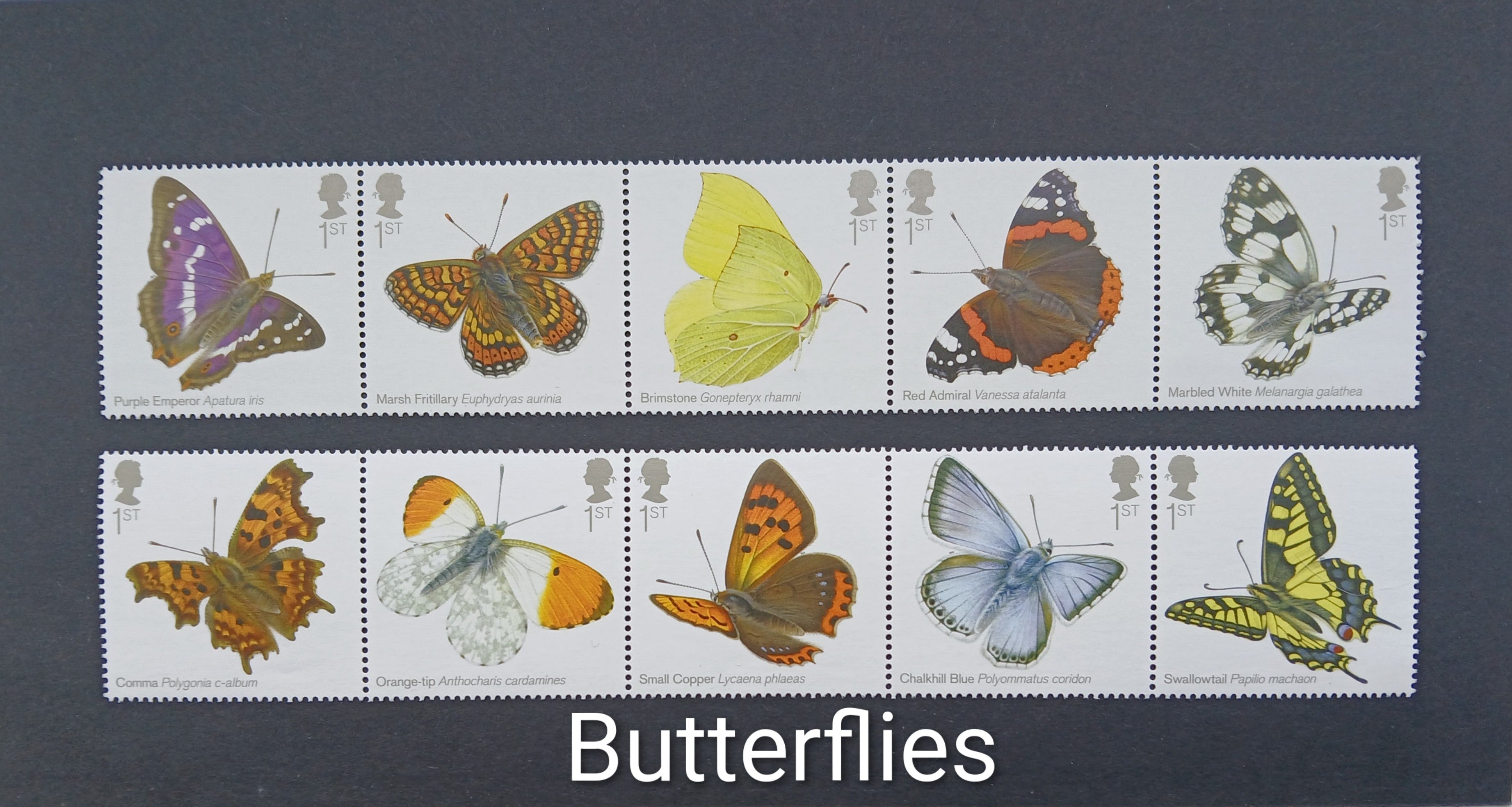 1st Class Letter - Stamps by Theme, Pictorial - Save up to 44%