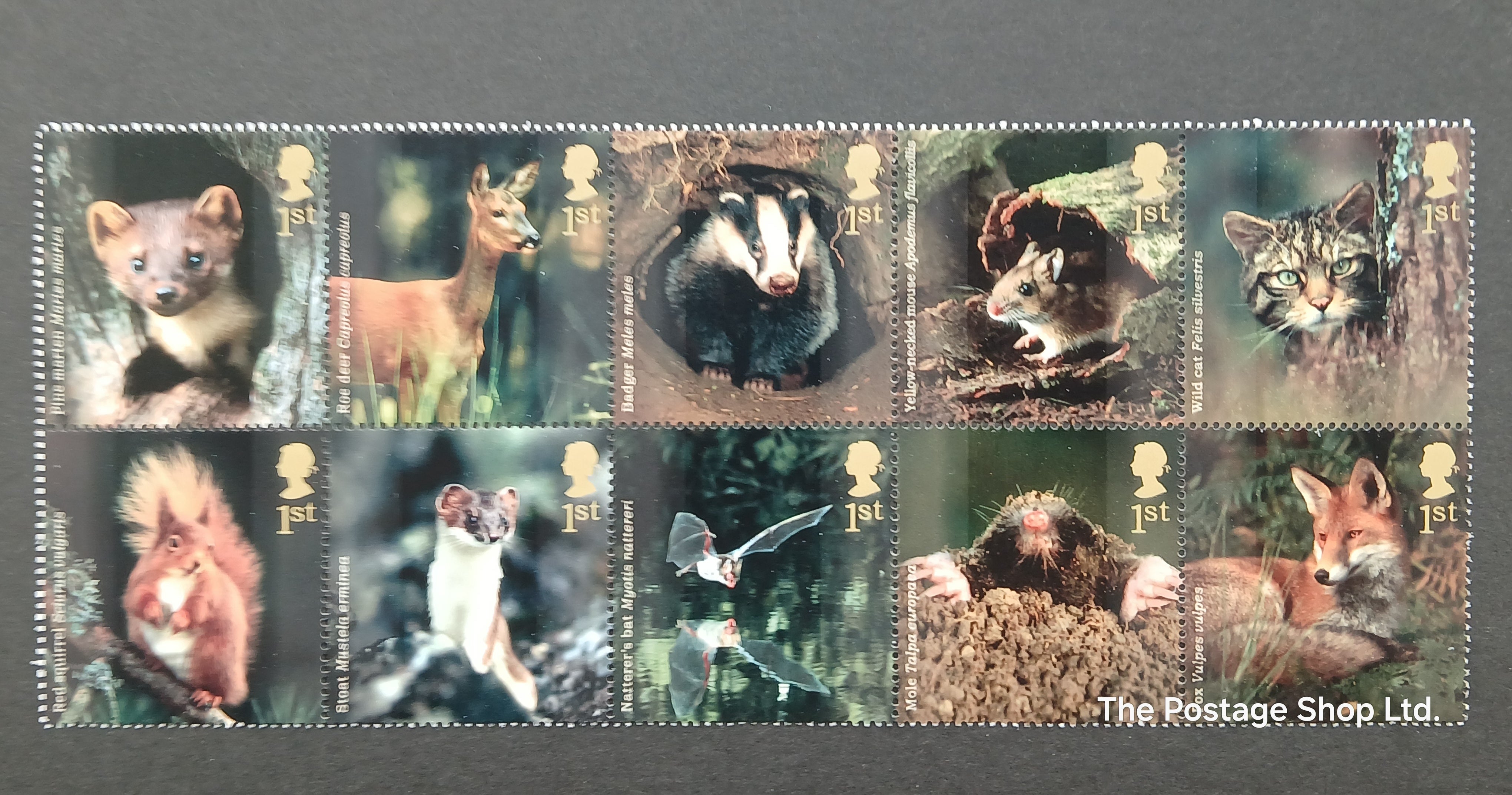 Woodland Animals - Save up to 42%