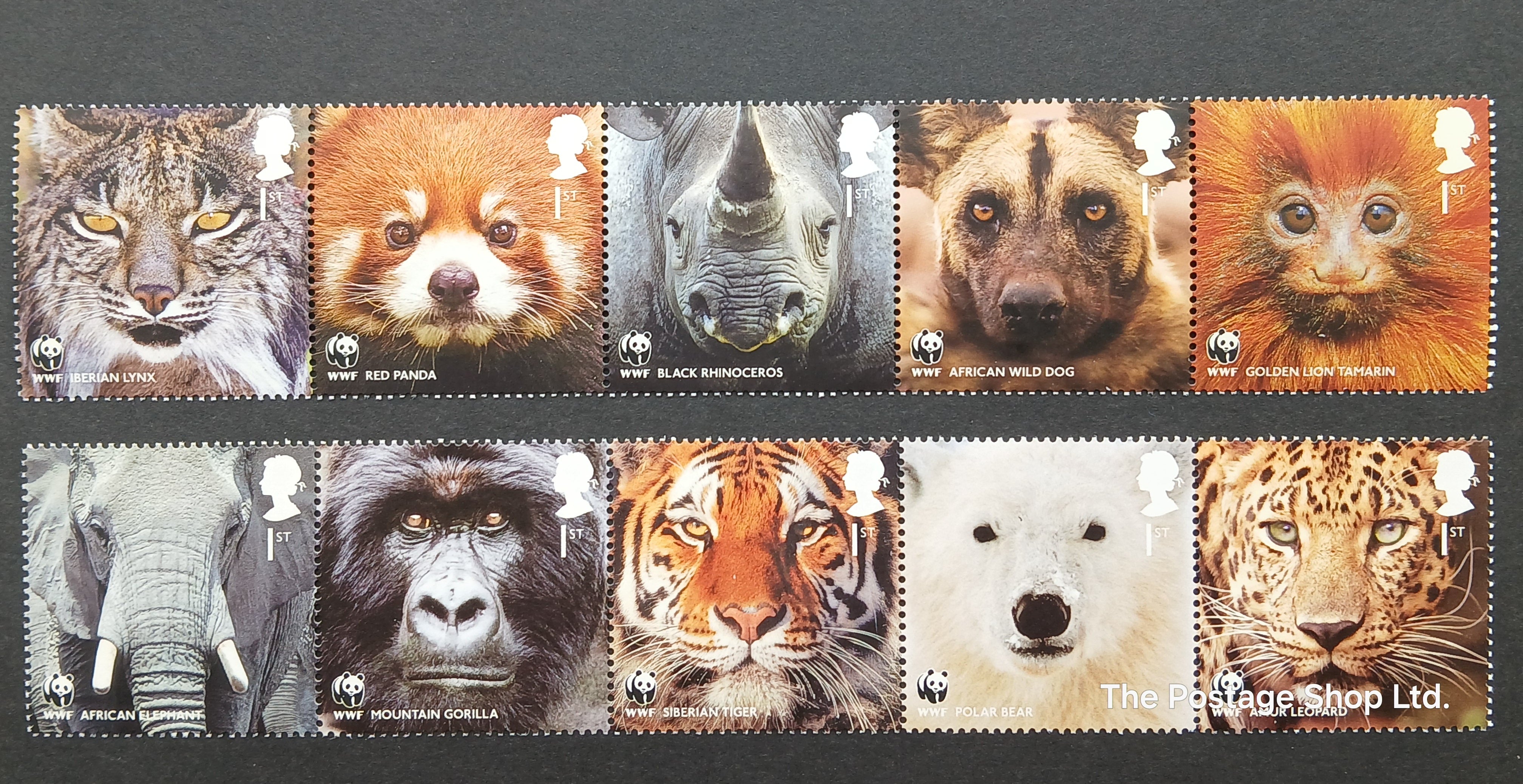 50th Anniversary of the WWF - Save up to 35%