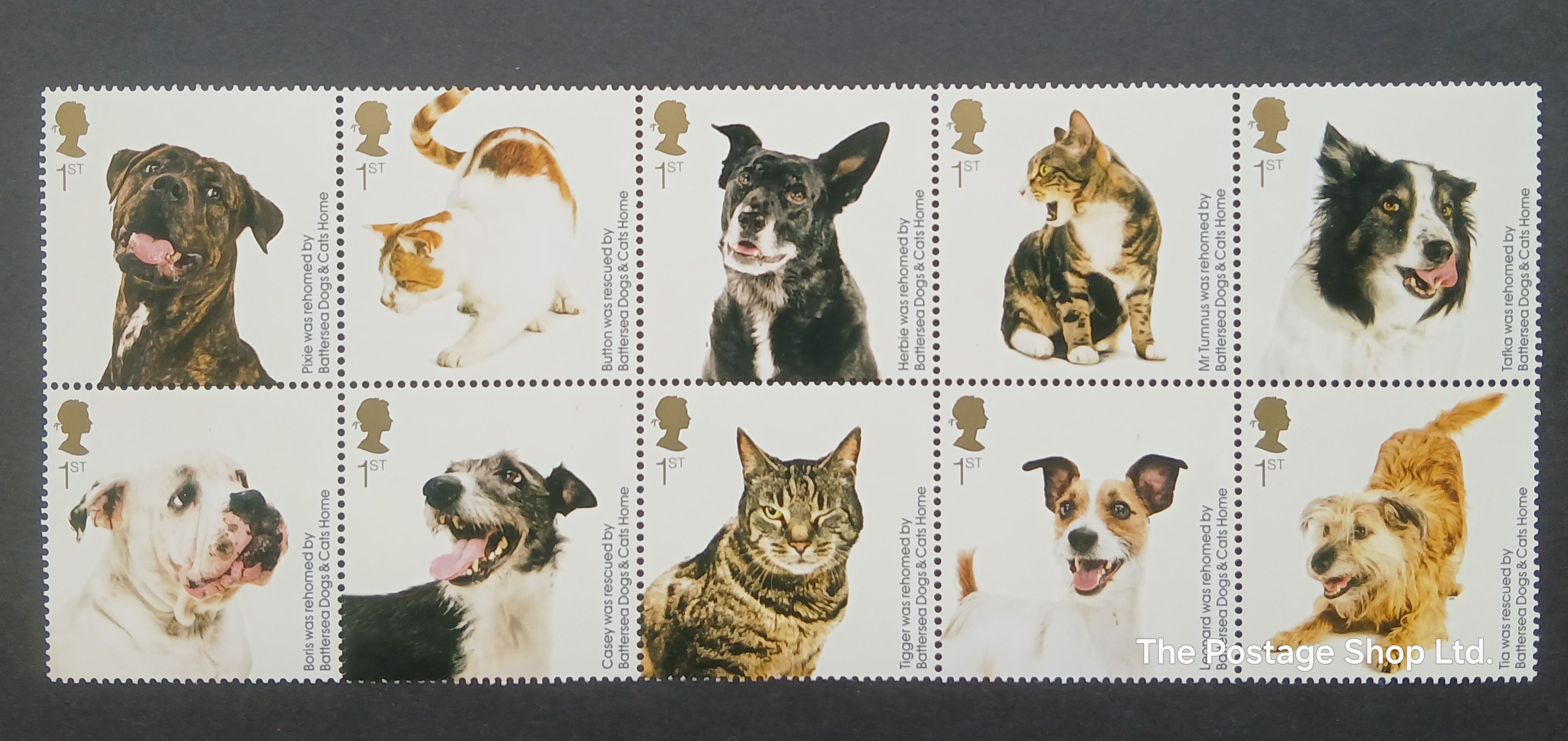 150th Anniversary of Battersea Dogs and Cats - Save up to 35%