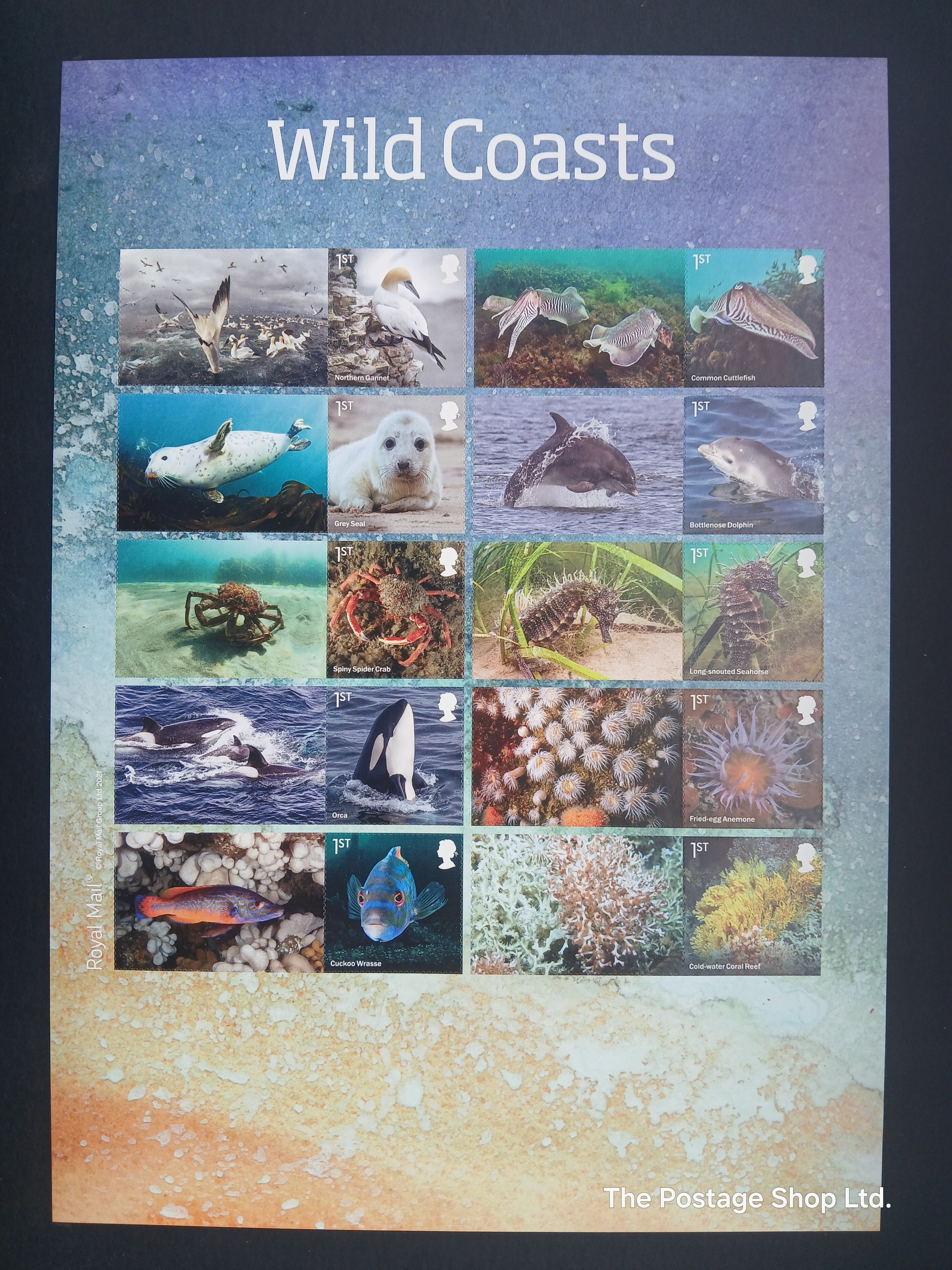 Wild Coast Smiler/Label Sheet - Save up to 30%