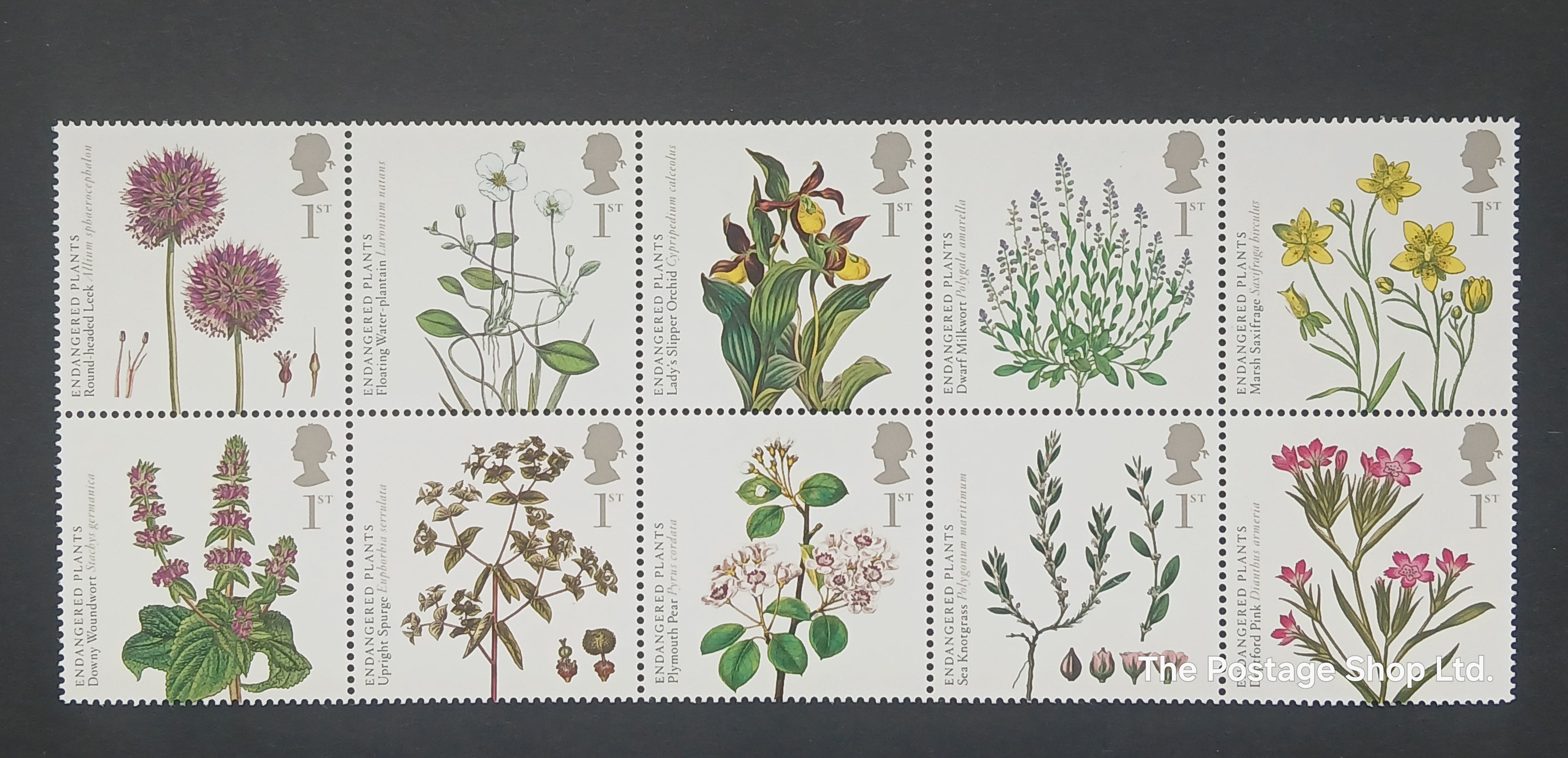 Action for Species 3rd Issue - Save up to 40%