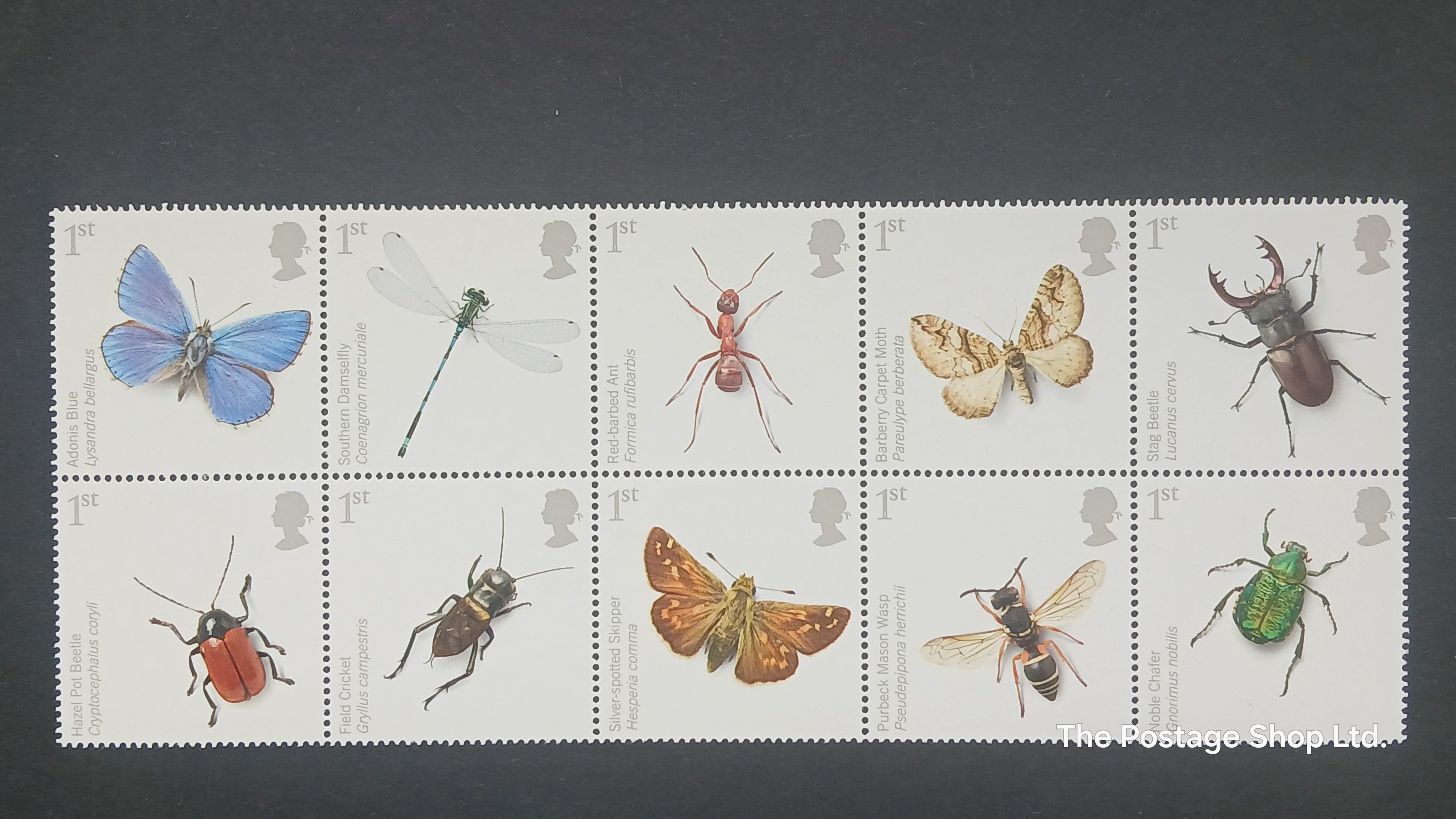 Action for Species 2nd Issue - Save up to 35%