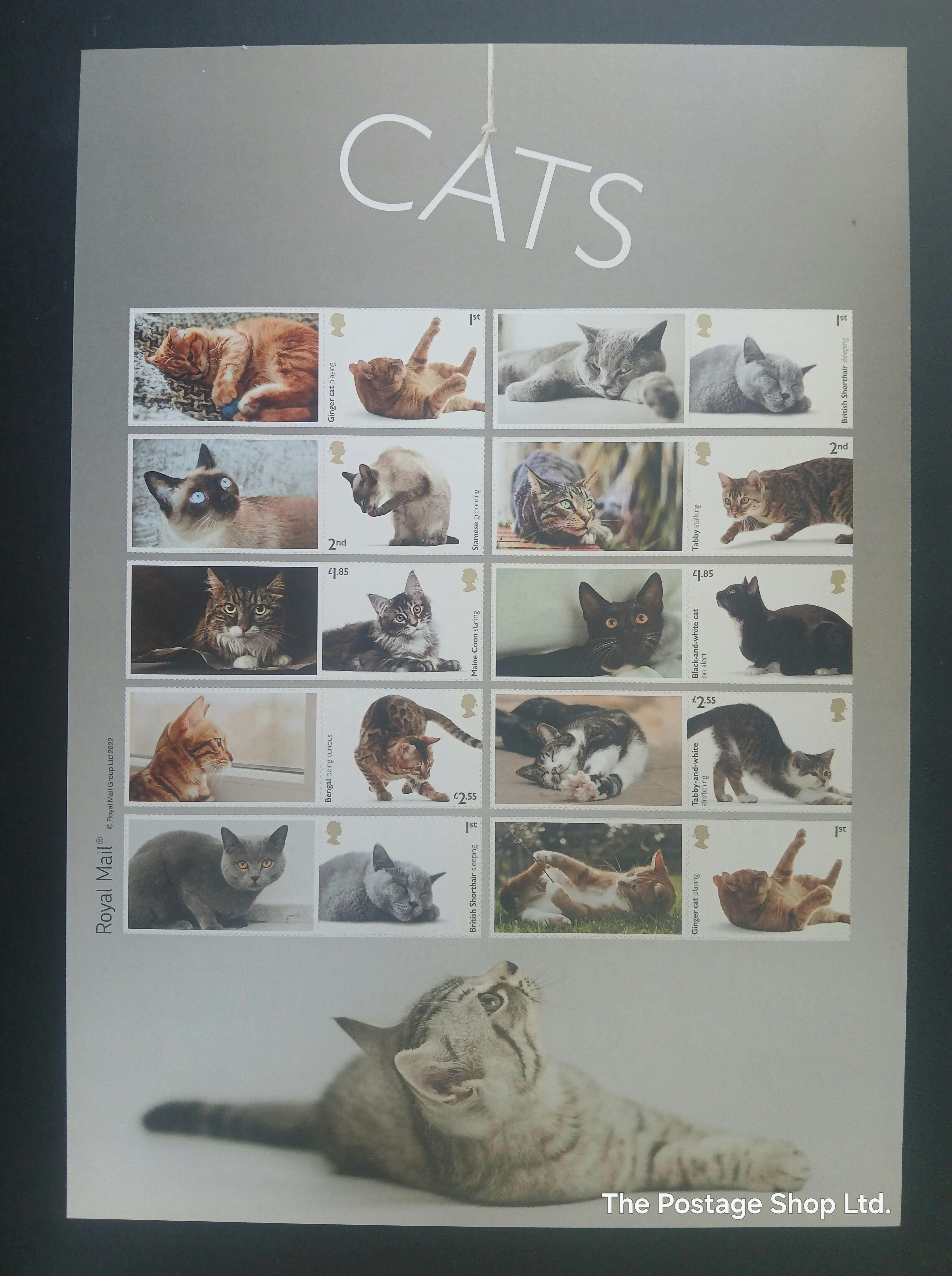 Cats Smiler Sheet - Save up to 25%