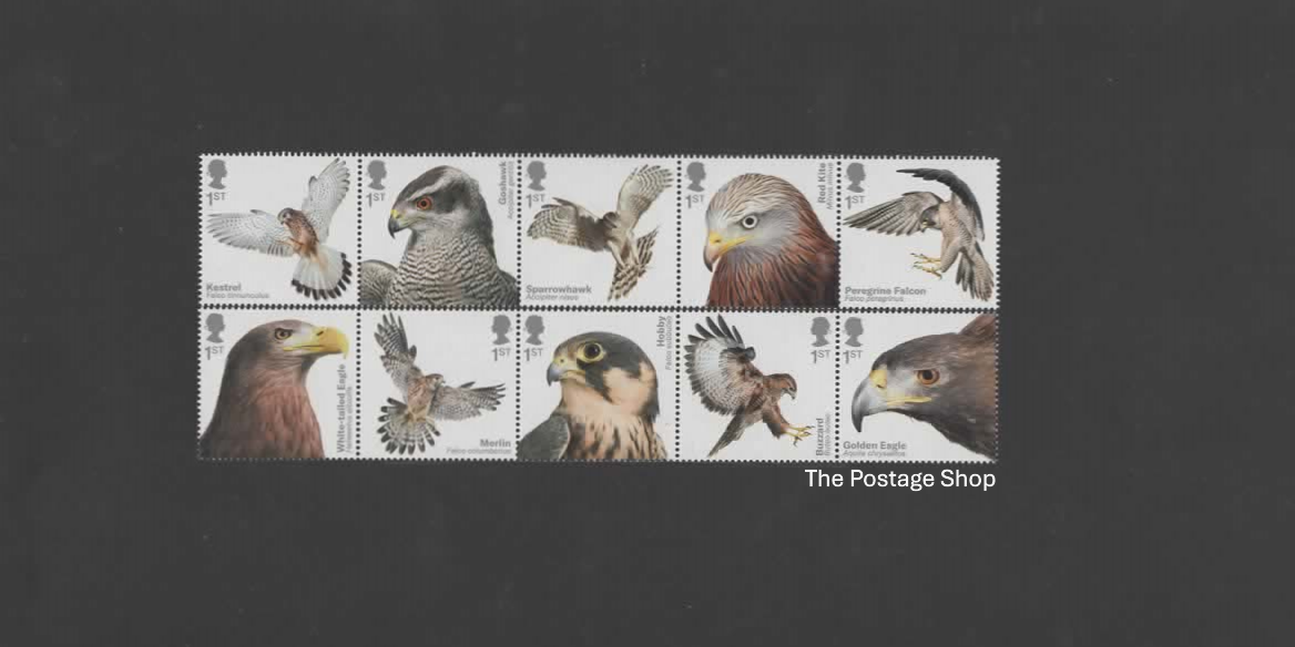 Birds of Prey - Save up to 35%