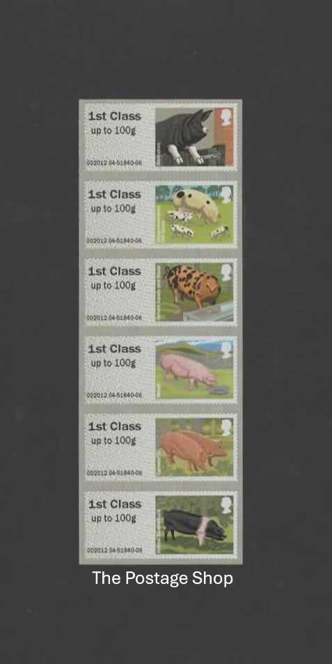 British Farm Animals 2 - Pigs - Save up to 40%