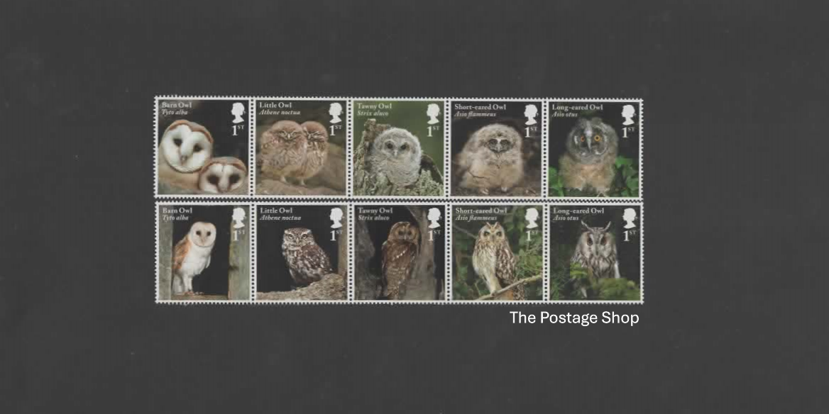 Owls - Save up to 30%