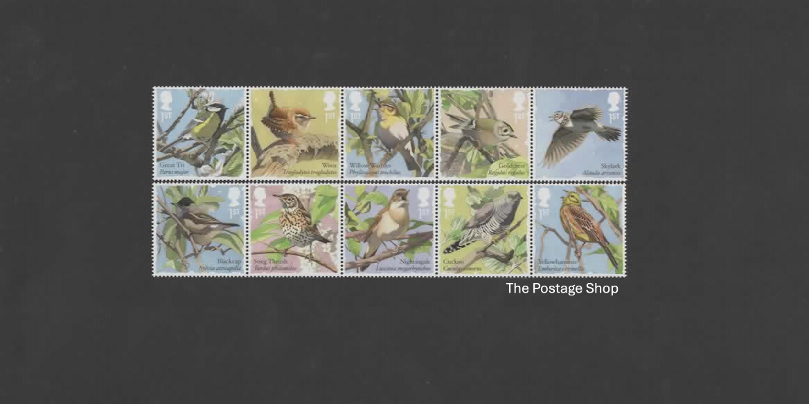 Song Birds - Save up to 35%