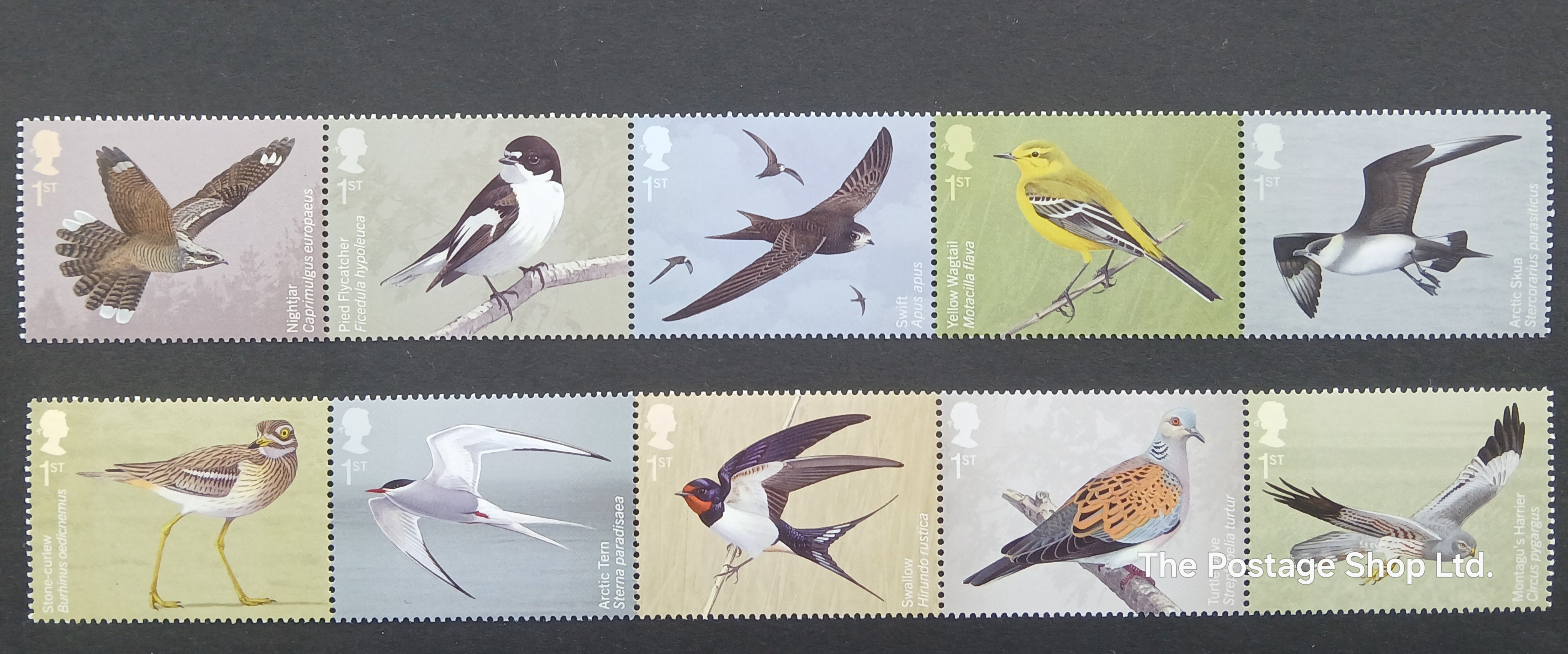 Migratory Birds - Save up to 30%