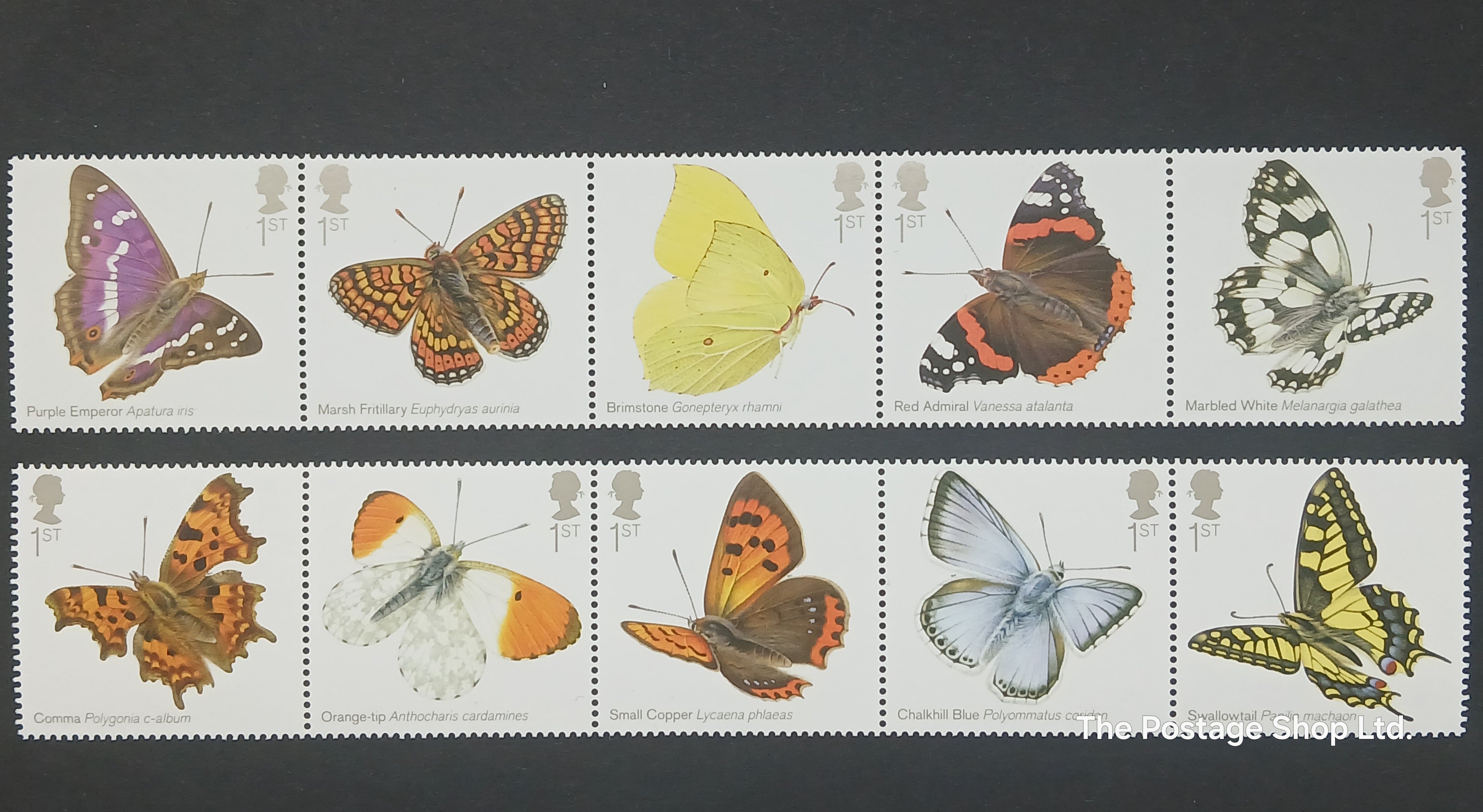 Butterflies - Save up to 30%