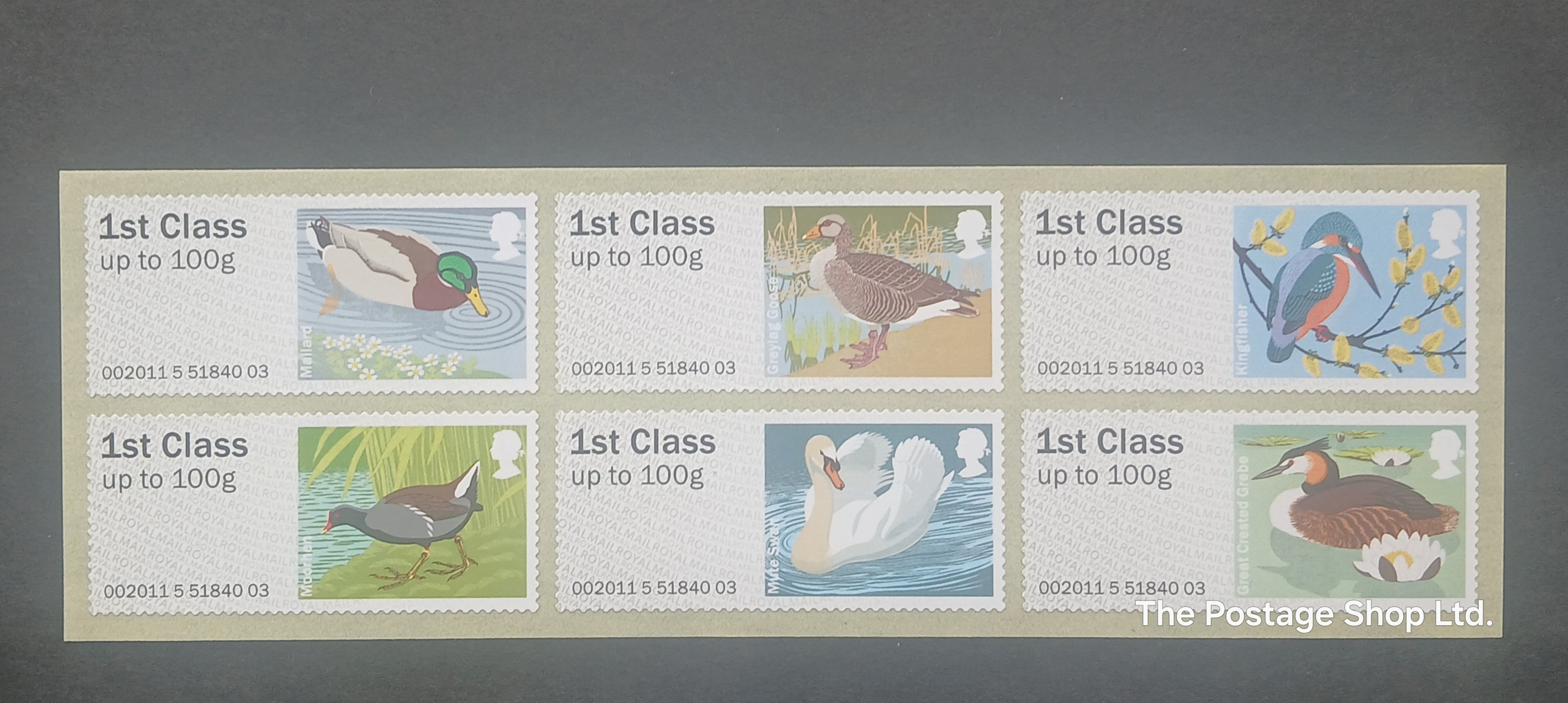 Birds of Britain 3 - Save up to 40%