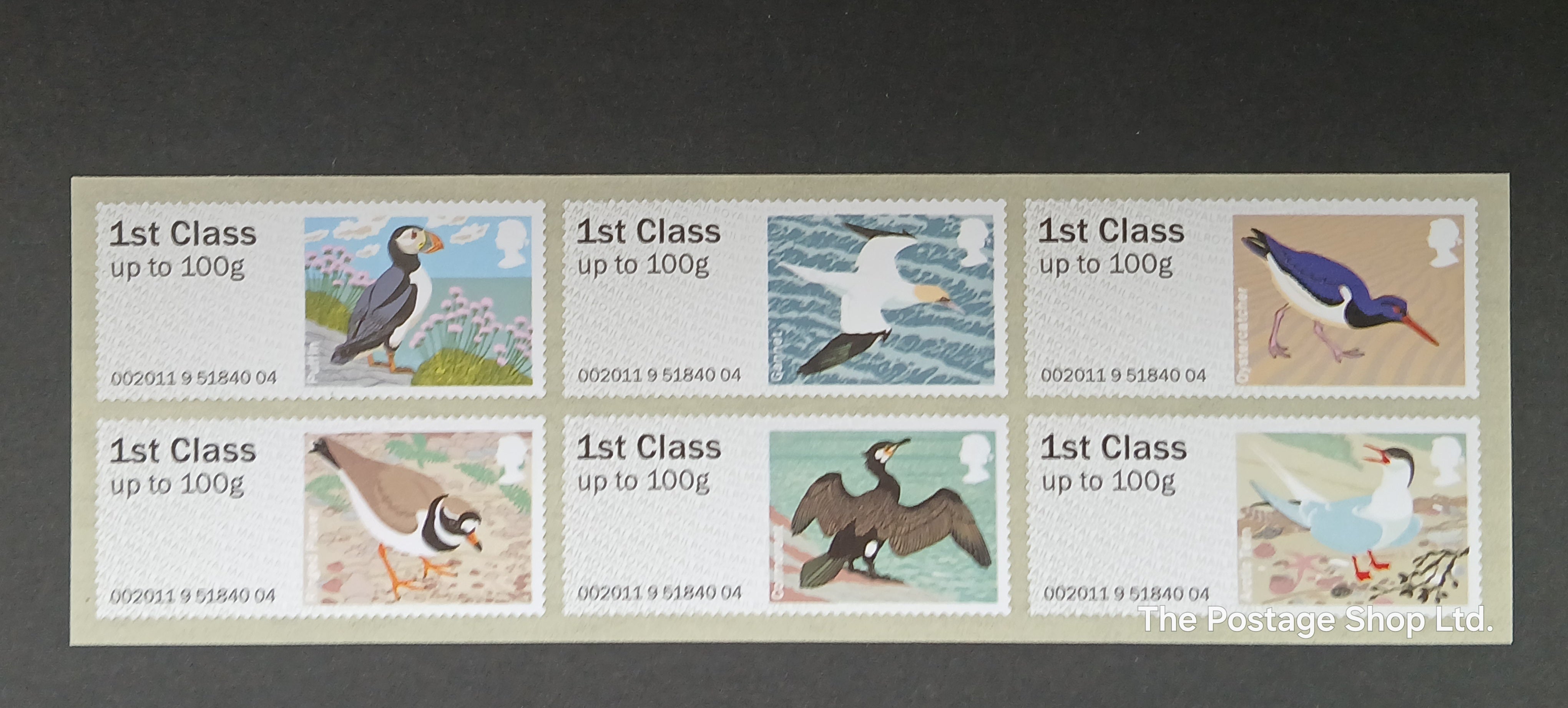 Birds of Britain 4 - Save up to 40%