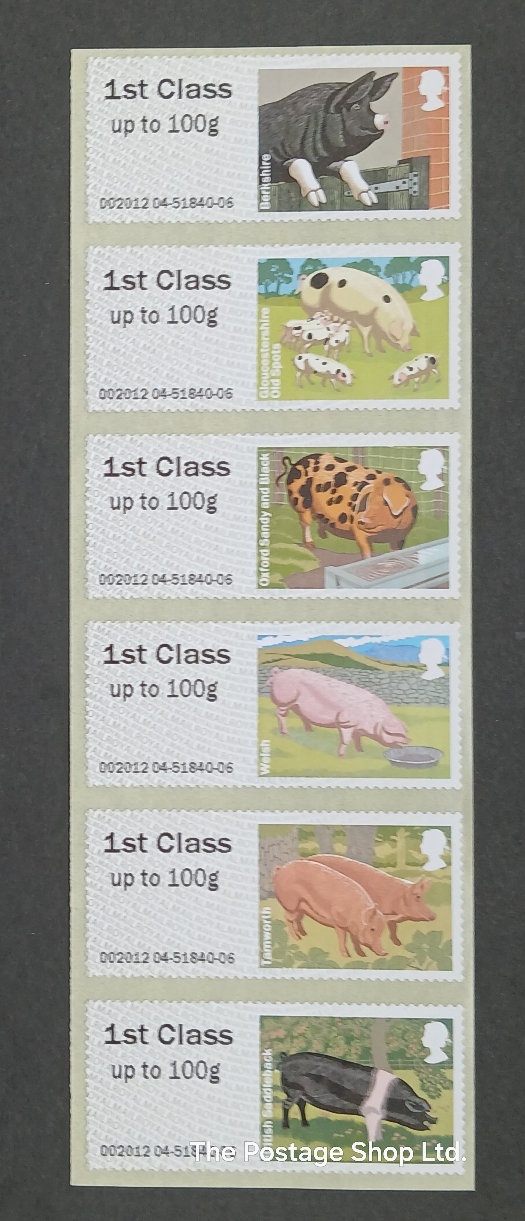 British Farm Animals 2 - Pigs - Save up to 40%