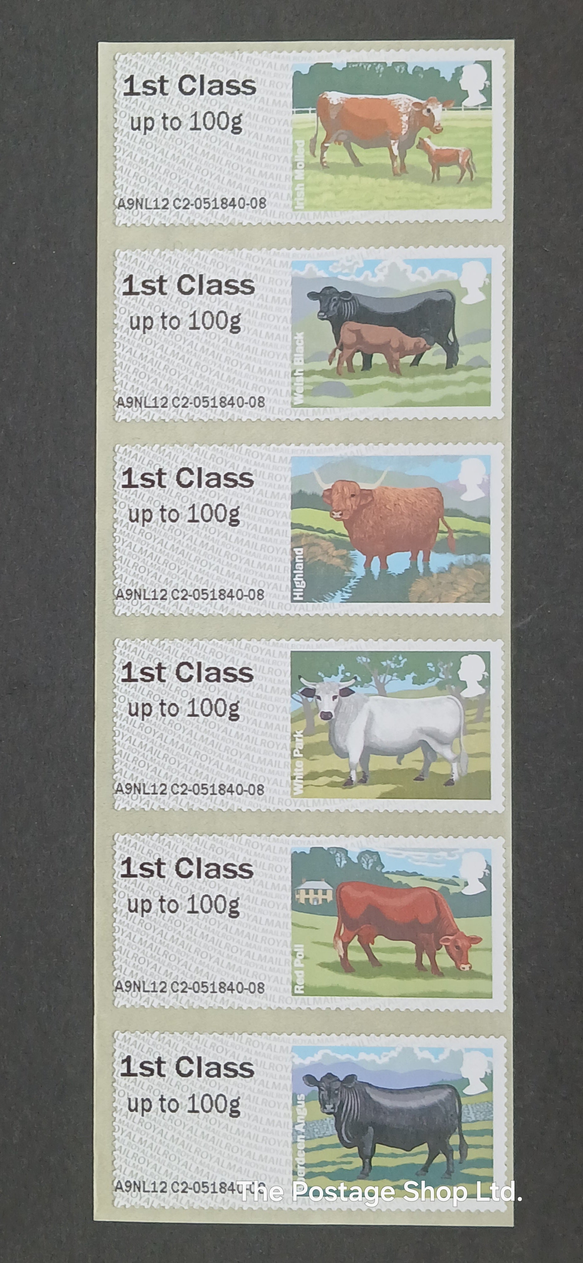 British Farm Animals 3 - Cattle - Save up to 40%