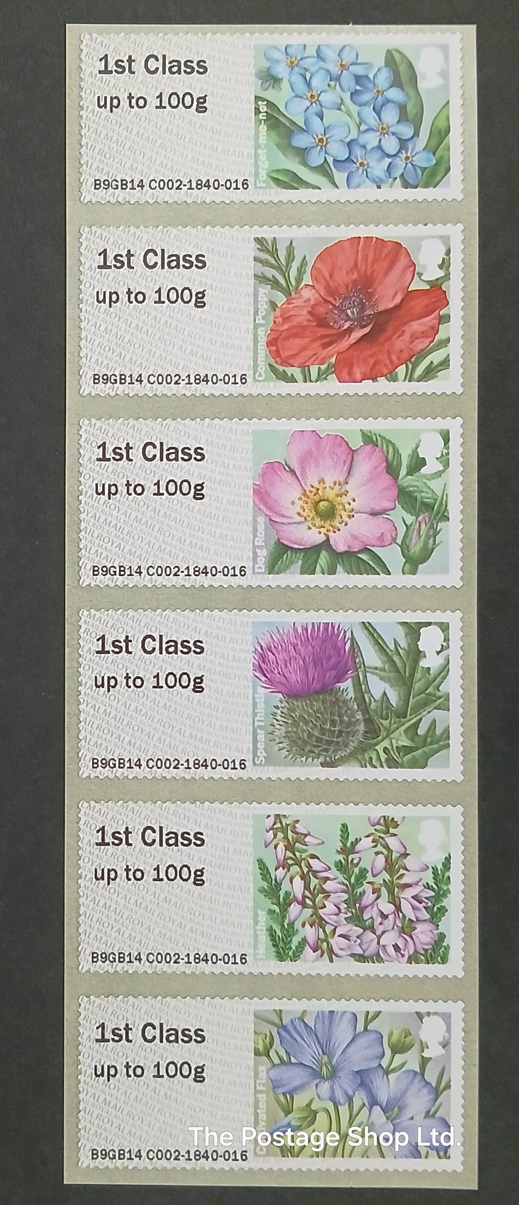 Lady Birds - Save up to 35%