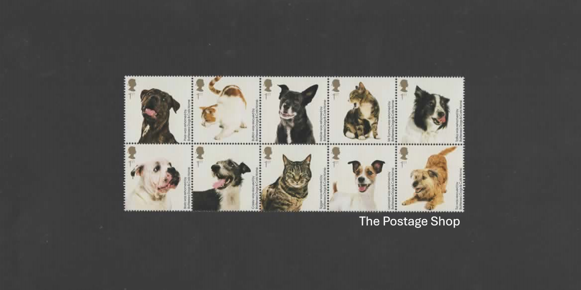 150th Anniversary of Battersea Dogs and Cats - Save up to 35%