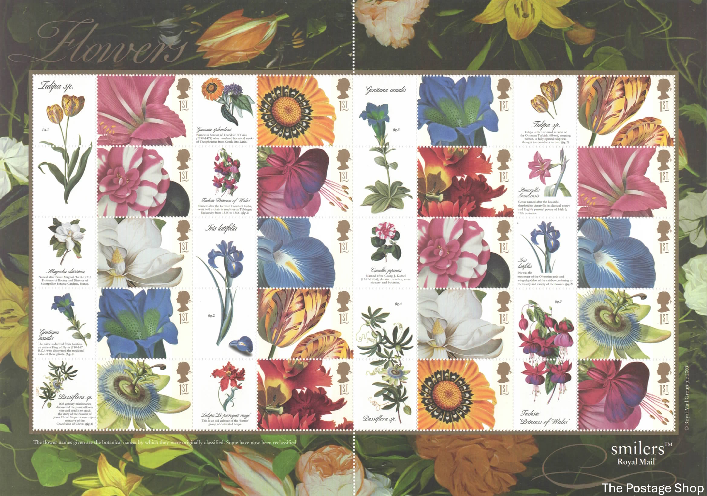 LS11 - Flower Paintings - 2003