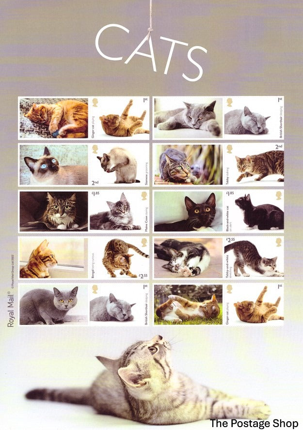 LS141 - Cats - 2022
