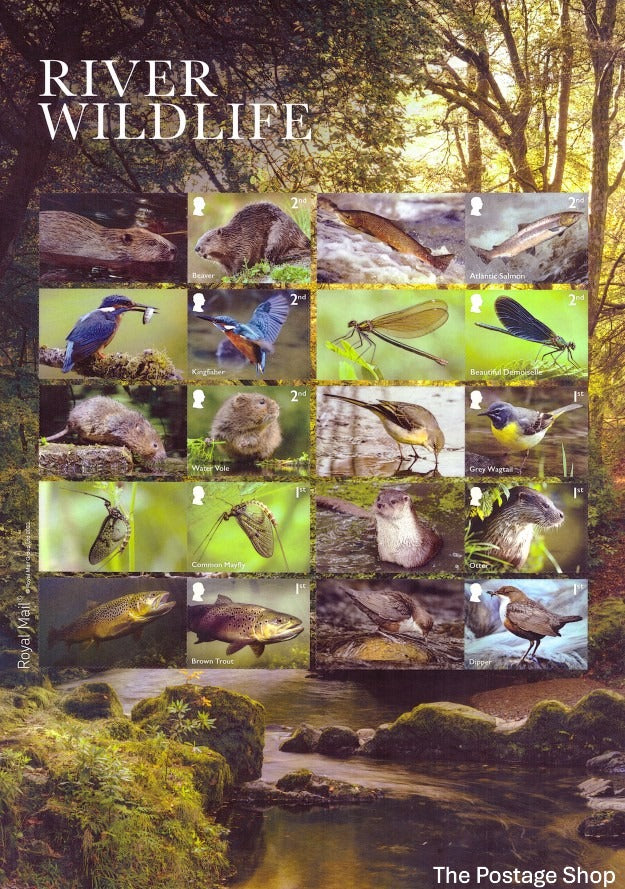 LS153 - Wildlife - 2023