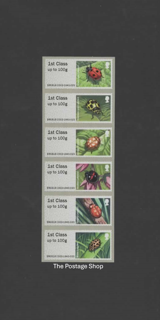 Lady Birds - Save up to 35%