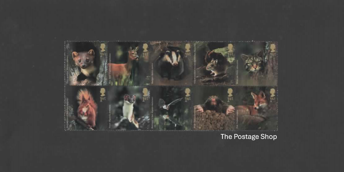 Woodland Animals - Save up to 42%