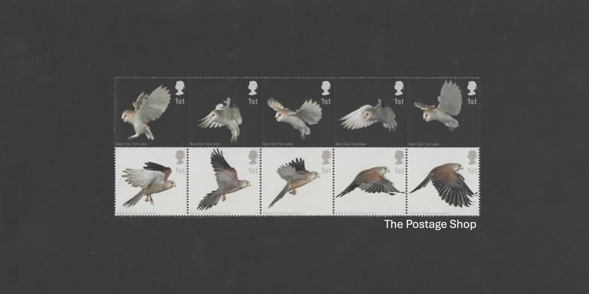 Birds of Prey in Flight - Save up to 42%