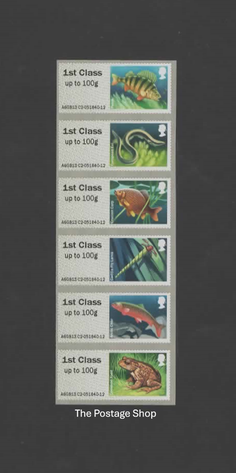 Freshwater Life 2 - Lakes - Save up to 40%