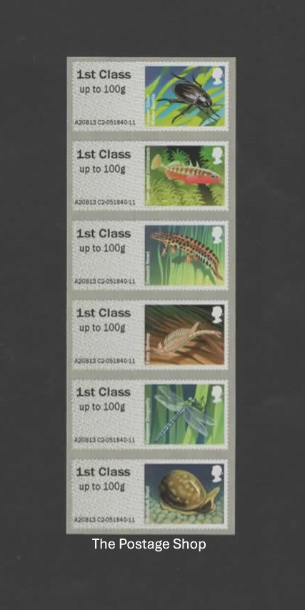 Freshwater Life 1 - Ponds - Save up to 40%